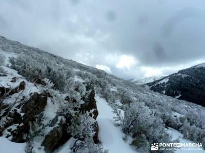 Hayedo de Montejo - Cuerda de la Pinilla; web senderismo; senderismo en invierno